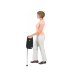 Bag Cane - Image 2