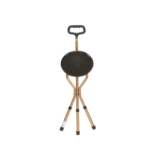 Cane Seat (1) Cane Seat - Image 1