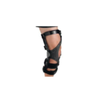 Horseshoe Patella - Image 2