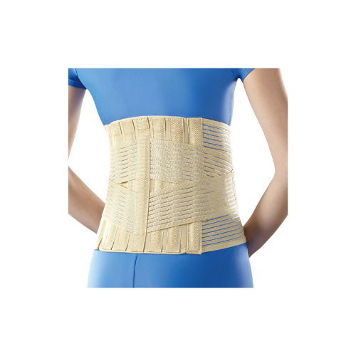 Sacro-Lumbar Support Sacro-Lumbar Support - Image 1